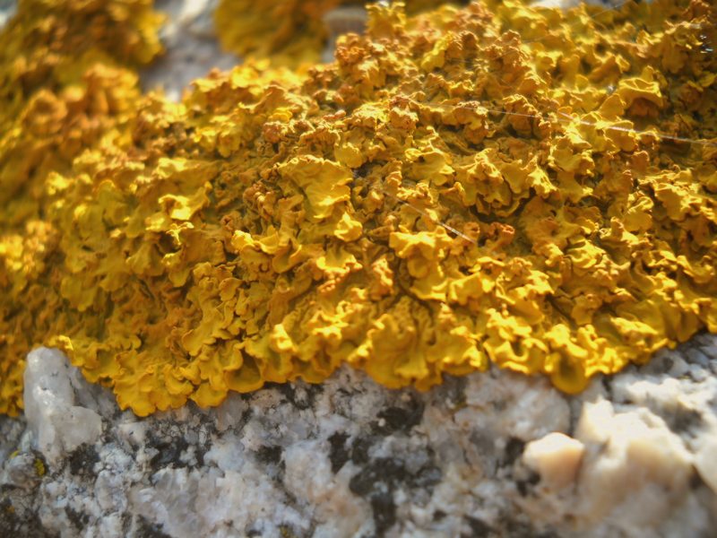 su granito...vicino al mare